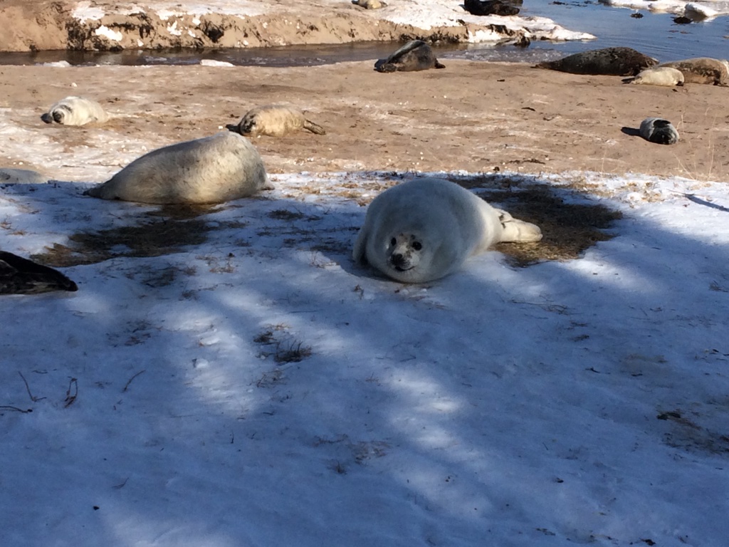 Photo014 Pictou Island