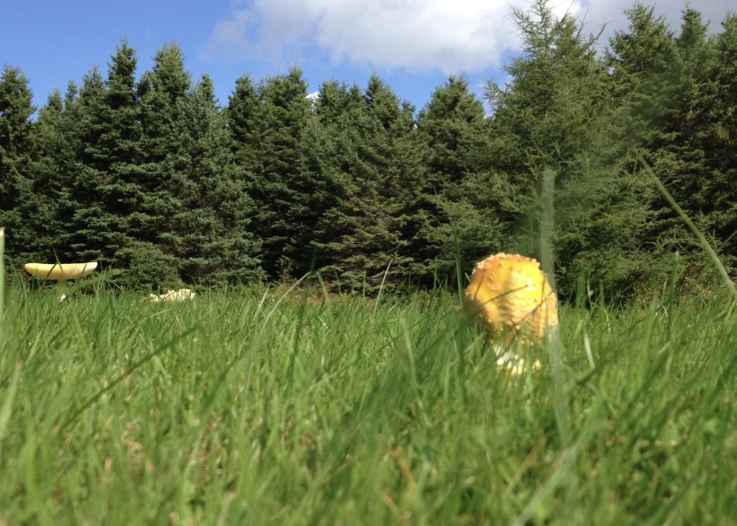 41C6970D 6DDF 4B63 9407 BBADD1712748 1 105 c