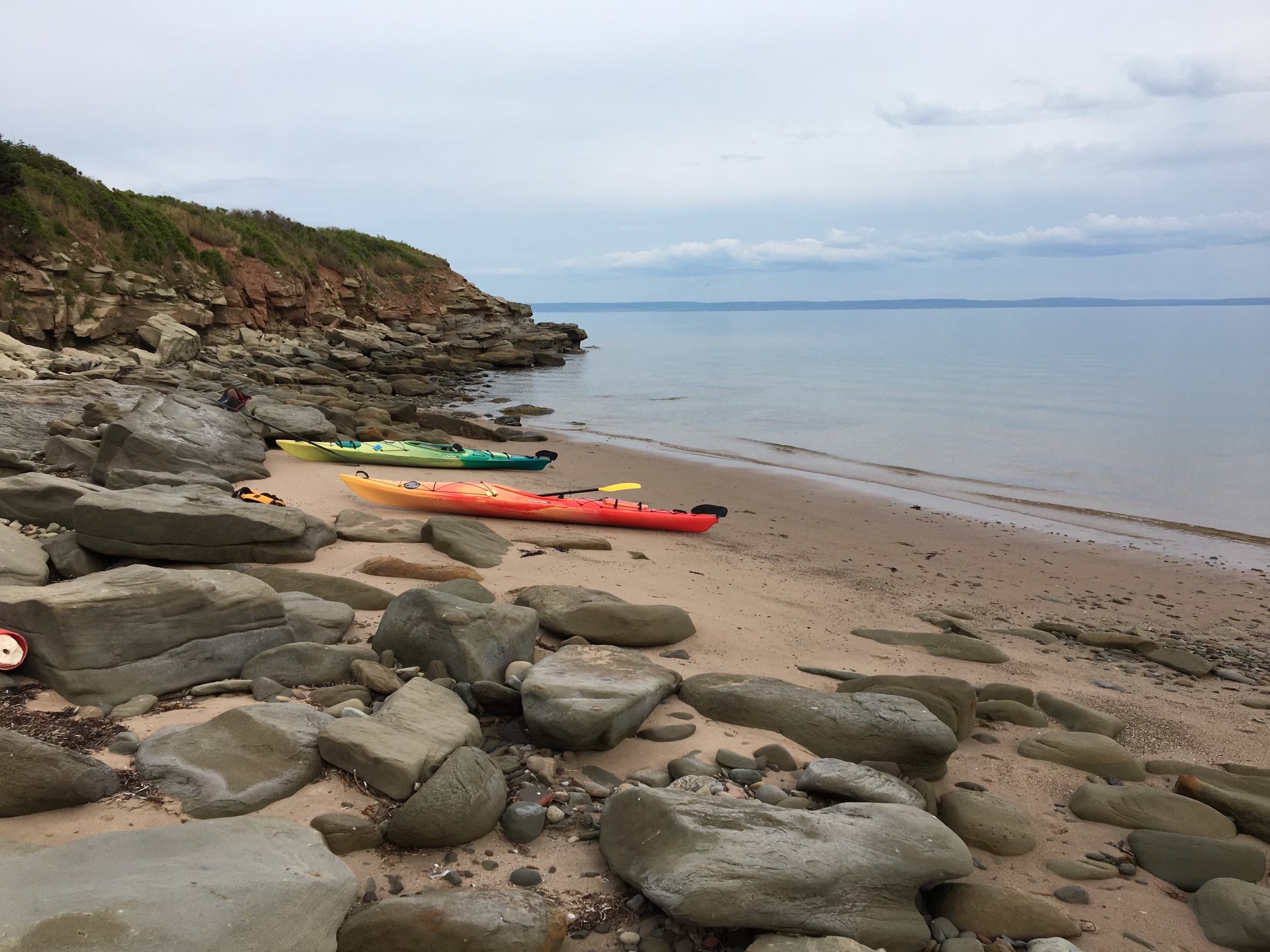 EF2C3583 9D9A 4B55 B4C1 5136560B8CF1 1 105 c